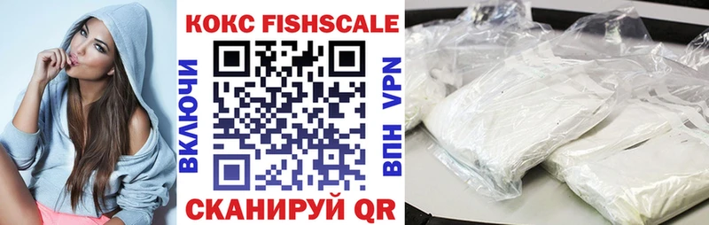купить наркотик  Спасск  Кокаин FishScale 