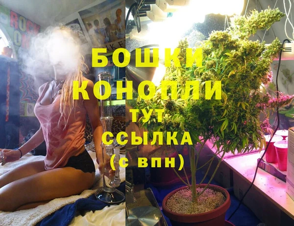 метадон Пестово
